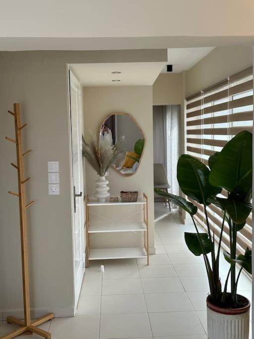Filoxenia City Apartment Закинтос Экстерьер фото